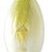 Endive