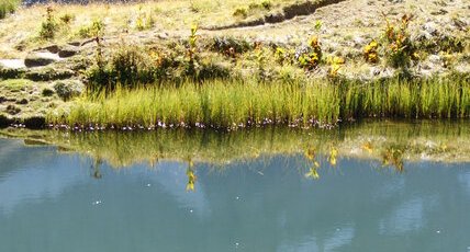 Lac du lauzon - 2020m