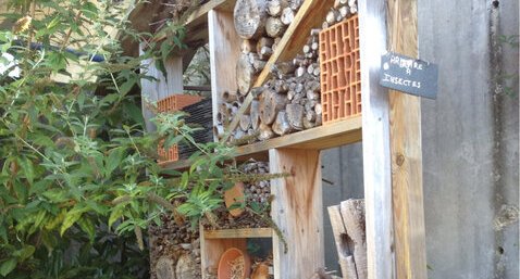 immeuble à insecte du collège