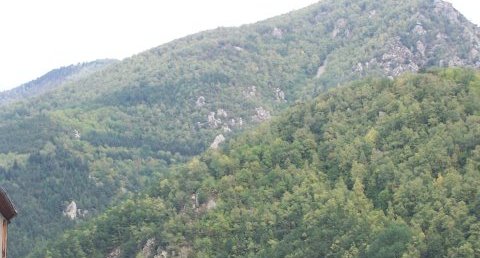 Paysage montagnard pyrénéen