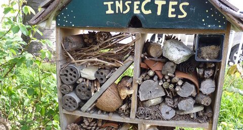 Hôtel à insectes