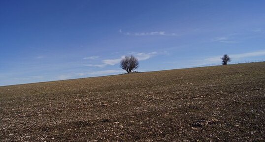 Champ de cailloux