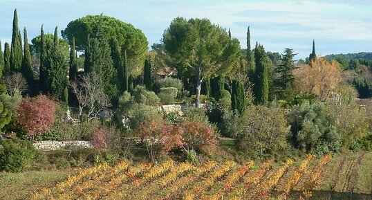 Vignoble de Bandol