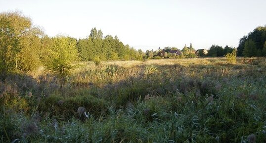 Marais de la Marque