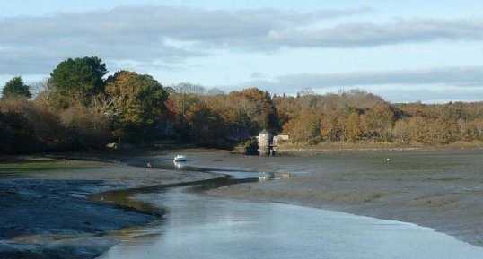 Oiseaux de marée basse