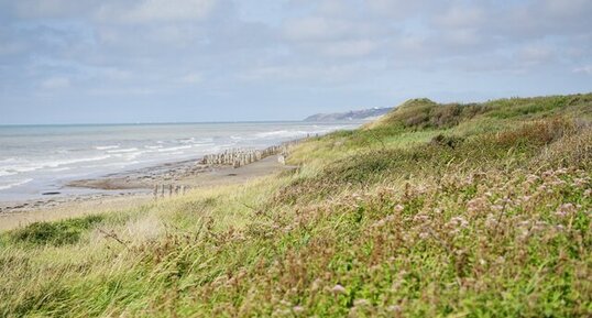 Dune côtière du Mont Saint Frieux