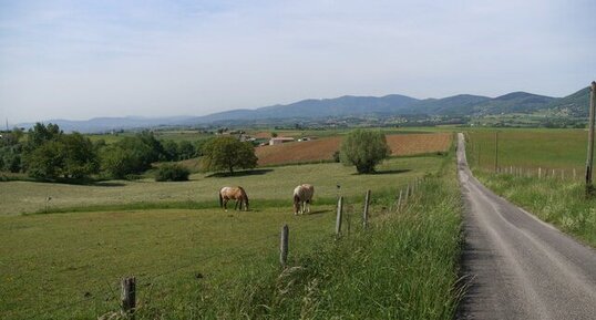 Paysage du Pilat