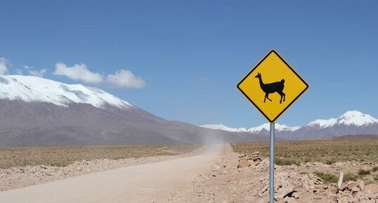 Désert bolivien