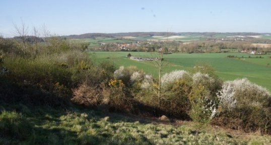 Bocage du boulonnais