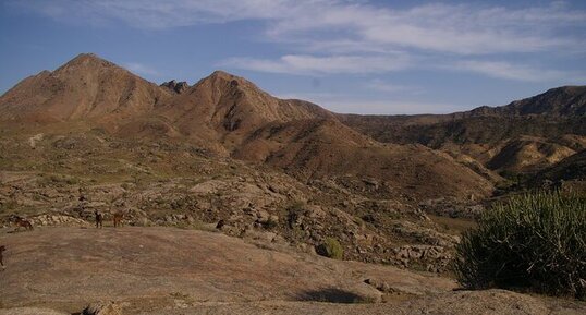 Inde pushkar 2011