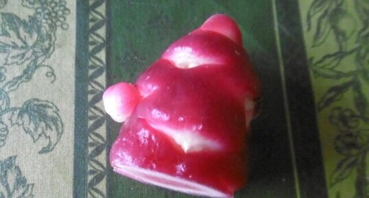 Oca du Pérou