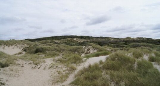 Dunes d'Ecault