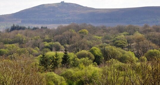 Le printemps du centre Bretagne