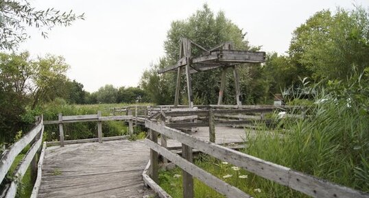 Réserve Naturelle du Romelaëre