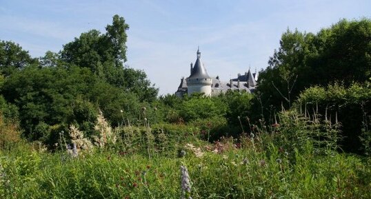 Un jardin à l'anglaise avec vue sur...