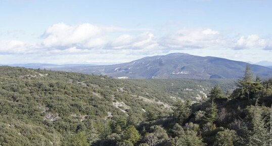 Massif du Grand Luberon