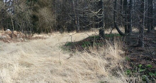 Incendie dans les monts d'Arrée. (série5)