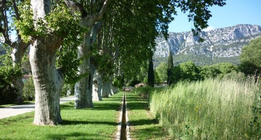 Jardin méditerranéen