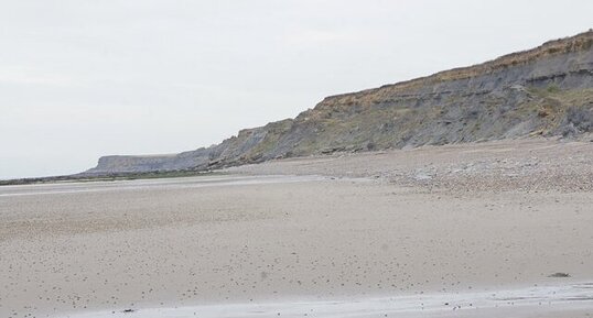 Le Cap Gris-nez