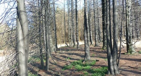 Incendie dans les monts d'arrée (série6)