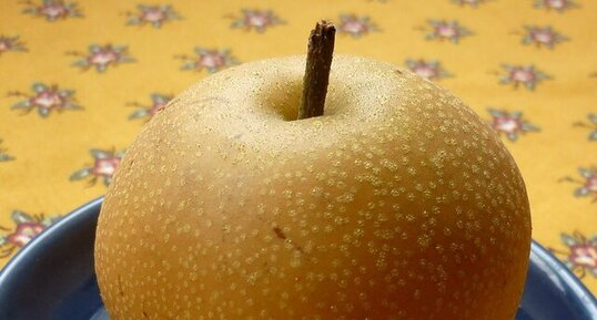 Pomme-poire Nashi