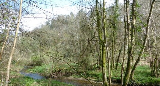 La vallée du Queffleuth.