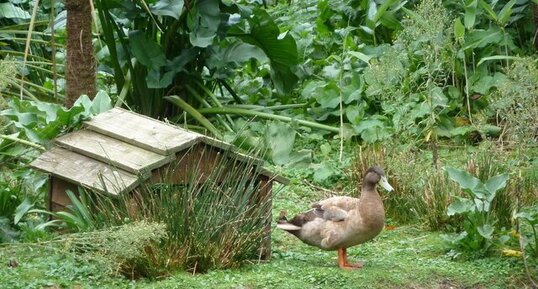 La petite maison dans la prairie