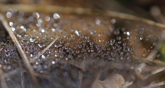 Gouttes d'eau en suspension