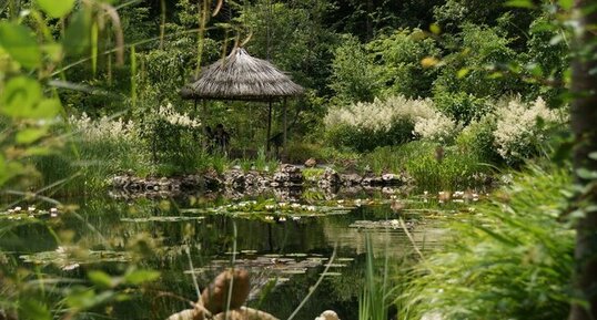 Ambiance coréenne