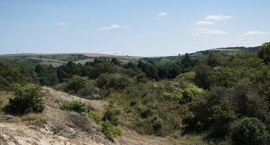 Dunes du Mont Sr Frieux