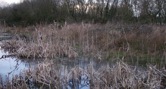 Etang de Careil