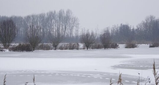 Patinoire naturelle (2)