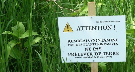 Plantes invasives