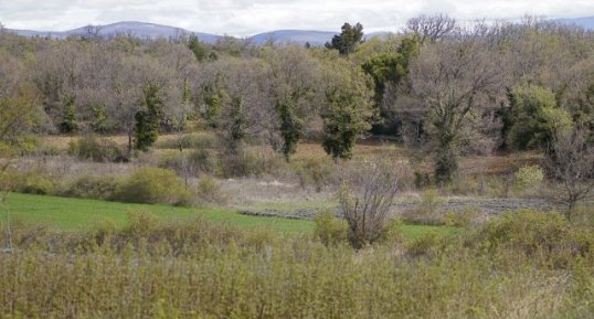 Succession d'écosystèmes