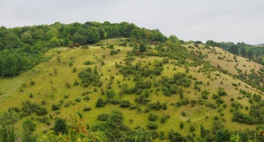 R.N.N. des grotte et pelouses d'Acquin-Westbecourt et coteaux de Wavrans sur (…)