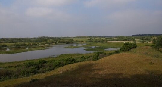 Parc Ornithologique du Marquenterre