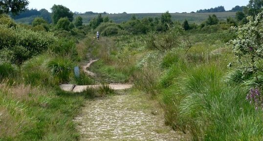 Tourbières de Brasparts