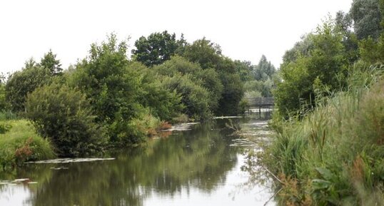 Au cœur du Marais