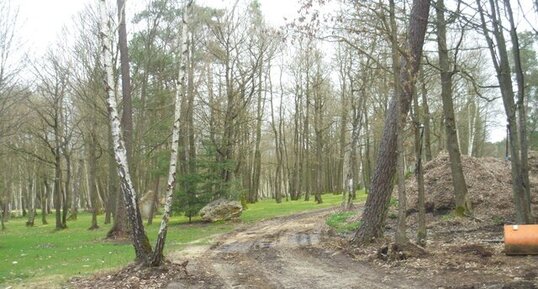 Bordure de Forêt