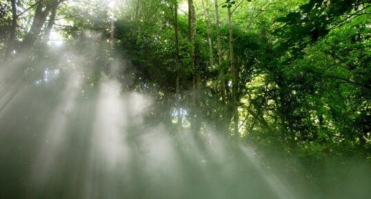 Vallée embrumée