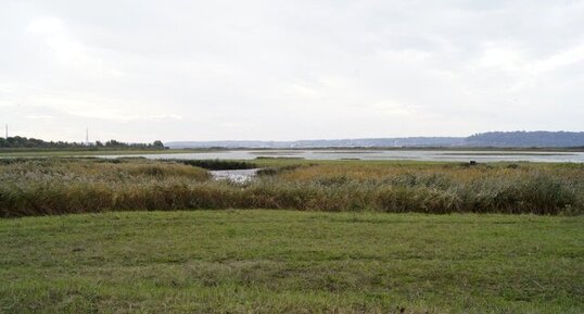 Réserve Naturelle Nationale de l'Estuaire de la Seine