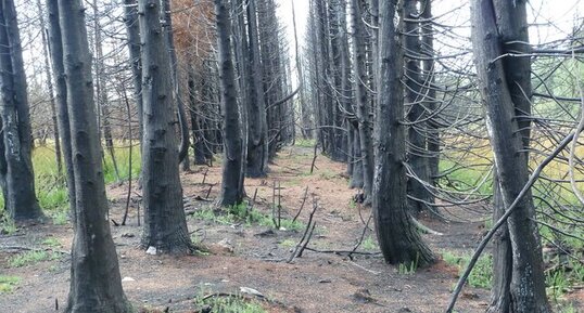 Incendie (série 4)