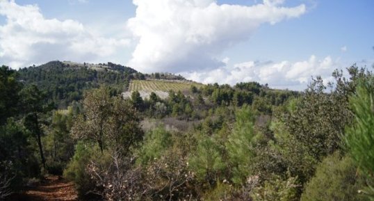 Entre forêts et vergers