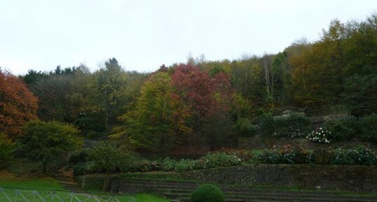 Les hêtres du Mont Frugy