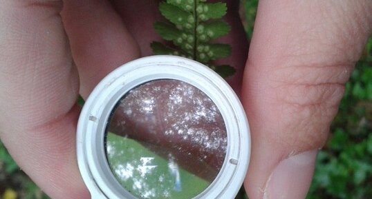 Loupe à leds pour observation sur le terrain