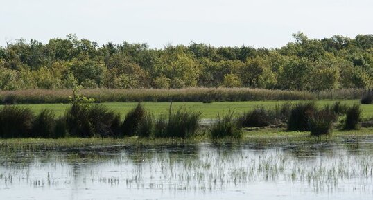 Sentier de l'étourneau