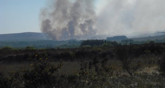 Incendie dans les monts d'Arrée (23/05/2010)