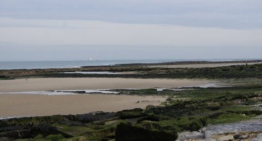 Côte rocheuse à marée basse