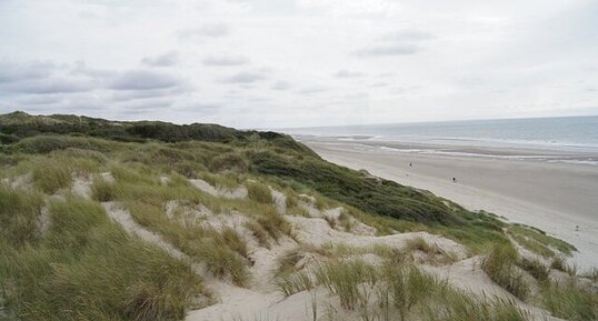 Dunes et plage de la Côte d'Opale