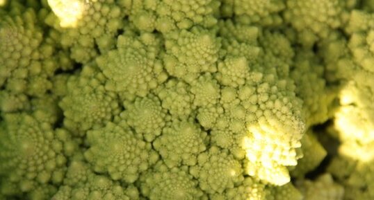 Romanesco